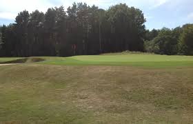 Image result for Brokenhurst Manor Golf Club