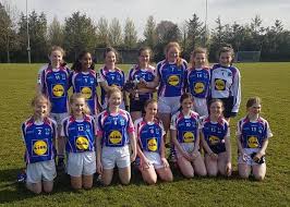 Image result for Erin`s Own Gaelic Athletic & Social Club