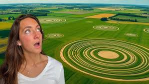 Image result for crop circles