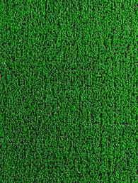 Image result for Astroturf