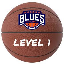 Image result for Scarborough Seahawks Basketball Club