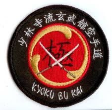 Image result for Kyoku Kenjutsu Kai