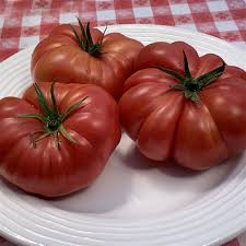 Afbeeldingsresultaat voor 1884 purple tomato