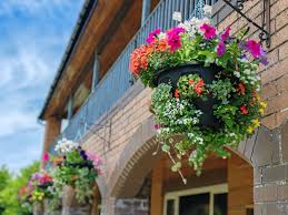 Image result for Murch Bowling Club