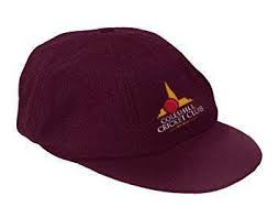 Image result for Coleshill Cricket Club
