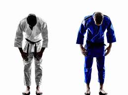 Image result for Beith Judo Club