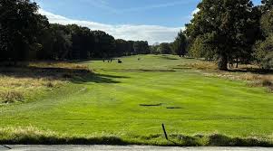 Image result for Brokenhurst Manor Golf Club