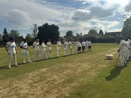 Image result for Ingleby Greenhow Cricket Club