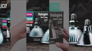 Risultati immagini per arcadia basking solar flood