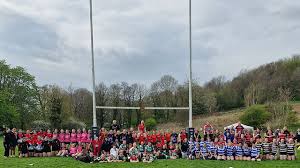 Image result for Tynedale Rfc