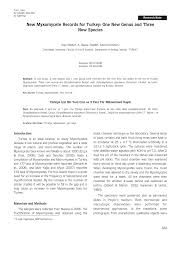 Attēlu rezultāti vaicājumam “Symphytocarpus impexus spores”