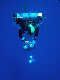 Image result for Headstream Divers