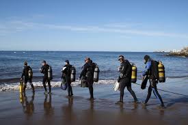 Image result for Canary Divers