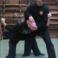 Image result for Tora Dojo