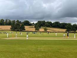 Image result for Sibton Park Cricket Club