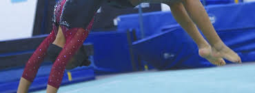 Image result for Holbeach and Fenland Gymnastics Club