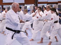 Image result for Sudbury Shotokan Karate Club kugb
