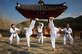 Image result for National Forest Taekwon-do