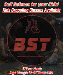 Image result for Blood Sweat and Tears Mixed Martial Arts Academy