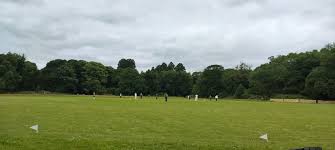Image result for Bay Dragons CC