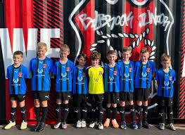 Image result for Burpham Juniors Fc