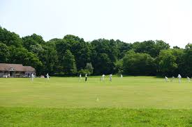 Image result for Heathfield Park Cricket Club