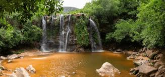 Image result for Cascada