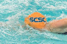 Image result for South Lincs Competitive Swimming Club