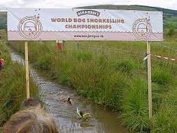 Image result for Bog Snorkelling Championships