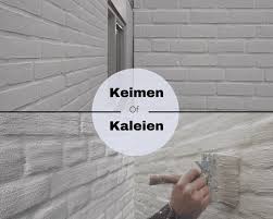 Image result for kaleien