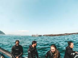 Image result for Wyndley Seals Snorkelling Club