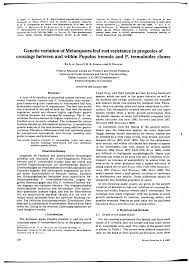 Attēlu rezultāti vaicājumam “Melampsora magnusiana”