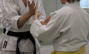 Image result for Reading Karate-Do Shotokai