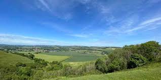 Image result for North Dorset