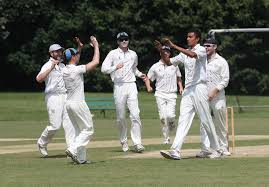 Image result for Aston Rowant Cricket Club