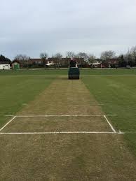 Image result for West Mersea Cricket Club