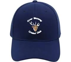 Image result for Over Stowey Cricket Club