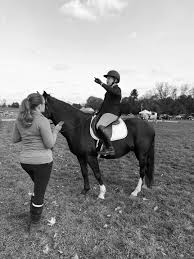 Image result for Shey Copse Riding Centre