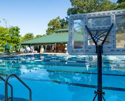 Image result for Melton Mowbray Swimming Club