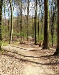 Image result for sonsbeek park