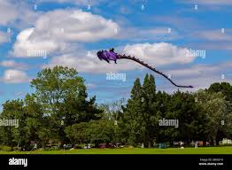 Image result for Poole Kite Fliers