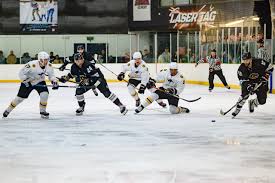 Image result for Ice Hockey International