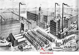 Image result for Austerlands Institute