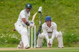 Image result for Antelope & Castle Cricket Club