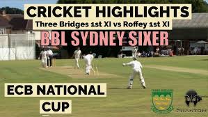 Image result for Three Bridges Cricket Club