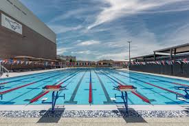 Image result for Lutterworth Swimming Club