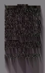 Attēlu rezultāti vaicājumam “Belbodamaeus sp.”