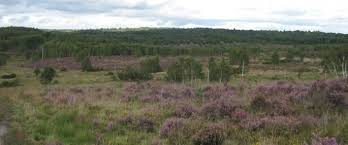 Image result for The Chobham Common Riders Association