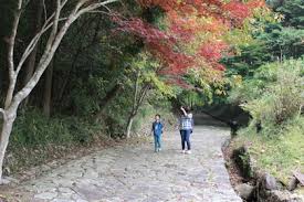 「烏頭みこと」の画像検索結果