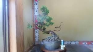 「柏 %9」の画像検索結果